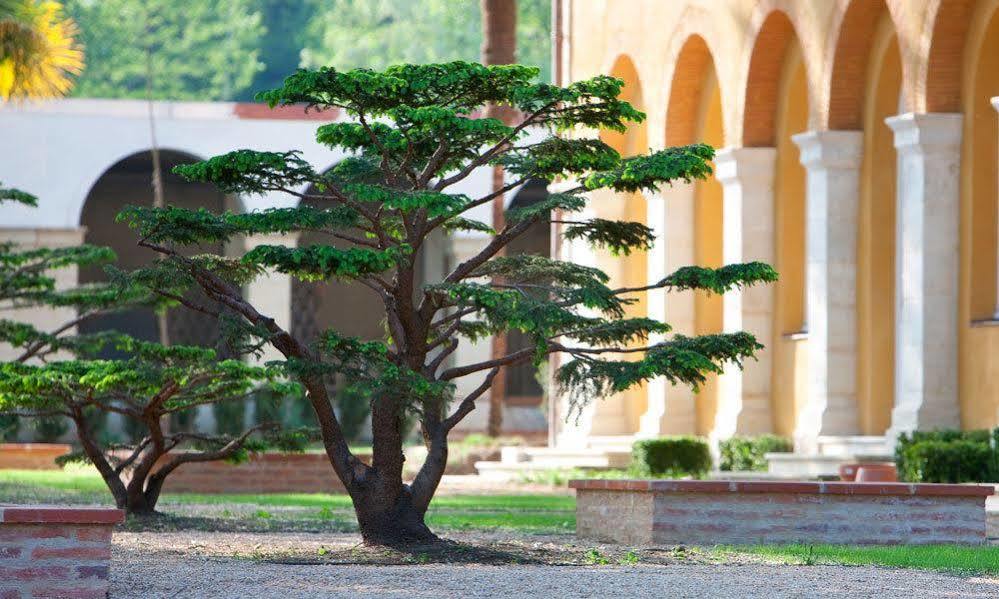ホテル La Bastide En Gascogne バルボタン・レ・テルム エクステリア 写真